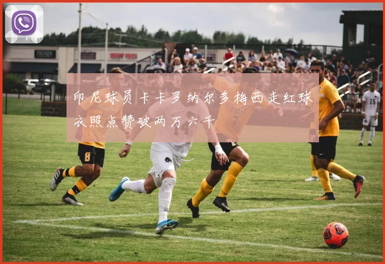 印尼球员卡卡罗纳尔多梅西走红球衣照点赞破两万六千