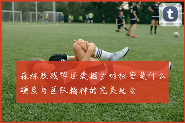 森林狼残阵逆袭掘金的秘密是什么硬度与团队精神的完美结合